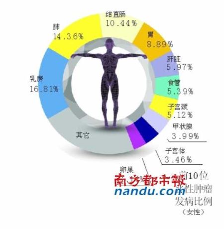 中国人一生患癌概率22% 每分钟全国5人死于癌