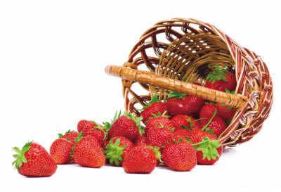 春季水果 关于吃草莓的那些事儿_新浪惠州