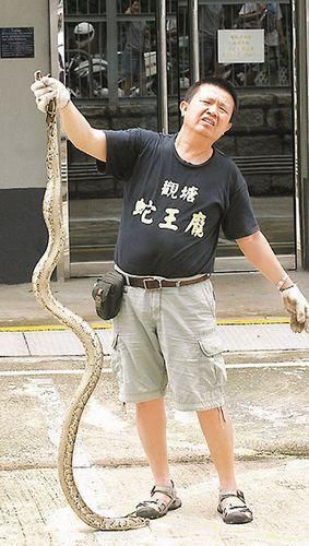 香港一船发现2米大蟒蛇 蛇王迅速生擒(图)_新浪