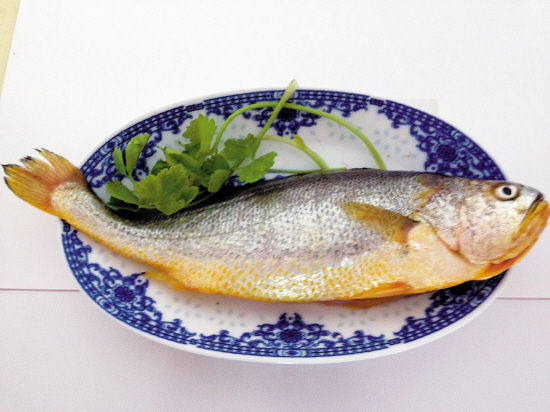 百变黄花鱼收买你的胃 鲜肥肉嫩营养丰富|黄花