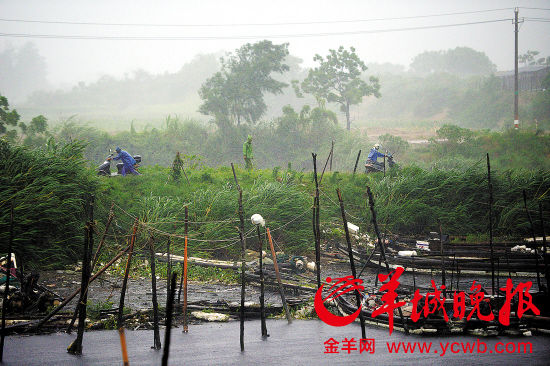 今年首个台风 海贝思 袭粤 广州南至潮汕高铁停
