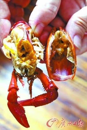 小龙虾满血复活
