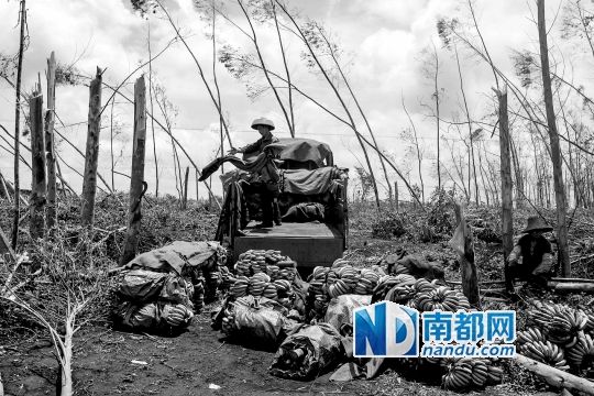 湛江市徐闻政府要求工作人员下乡与台风灾民同