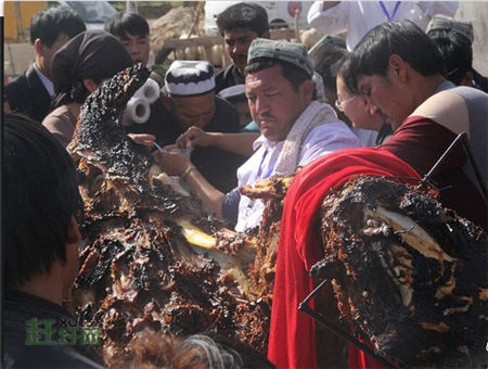 350公斤新疆烤全骆驼 小伙伴们都吓呆了|新疆