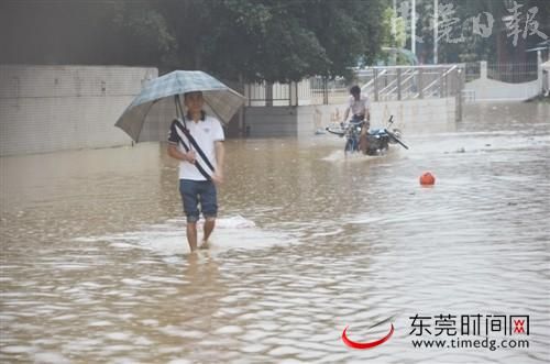 东莞昨日普降大雨到暴雨 今天仍有中到大雨_新