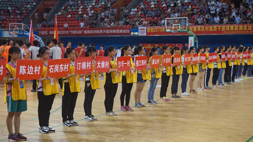 2015万家乐杯番禺区村级男子篮球赛 圆满落
