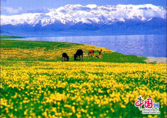 地理中国:新疆那拉提 绝美空中草原(图)_中国旅